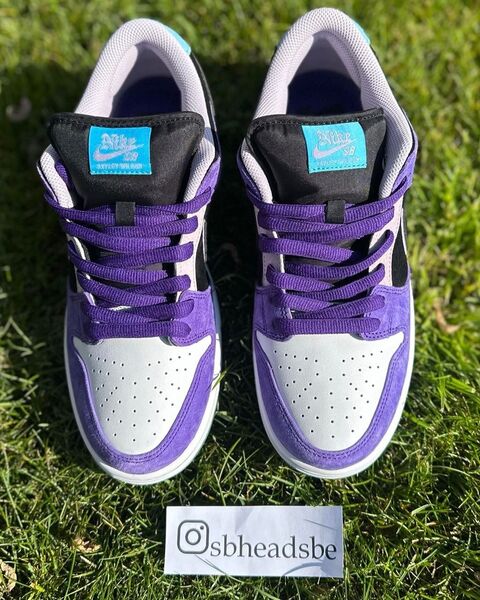 Hayley Wilson Lands Her Own Nike SB Dunk Low Colorway